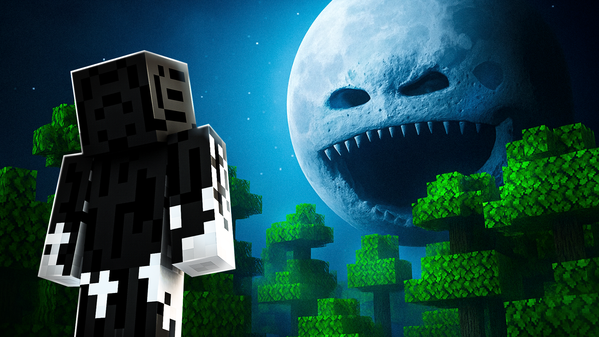 Banner 6